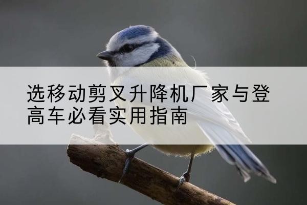 班戈电动升降机厂家-选移动剪叉升降机厂家与登高车必看实用指南