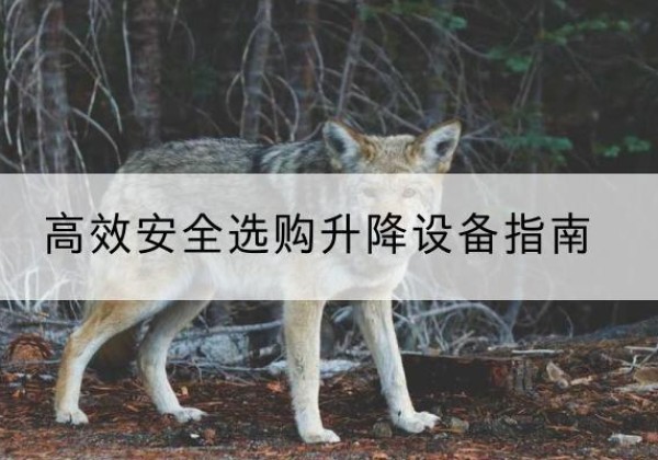 班戈升降货梯厂家推荐-*安全选购升降设备指南